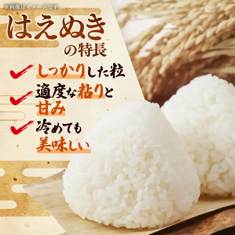 令和８年産 はえぬき 白米 10kg (5kg×2袋) - 山形県 飯豊町産 米 精米 品種 銘柄 ブランド米 ご飯 ごはん おすすめ 送料無料