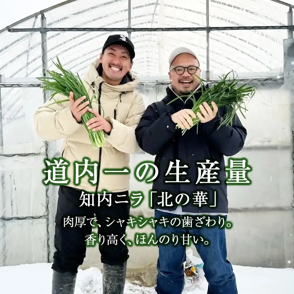 二ラヴァーナ(韮華餃子)25個入り
