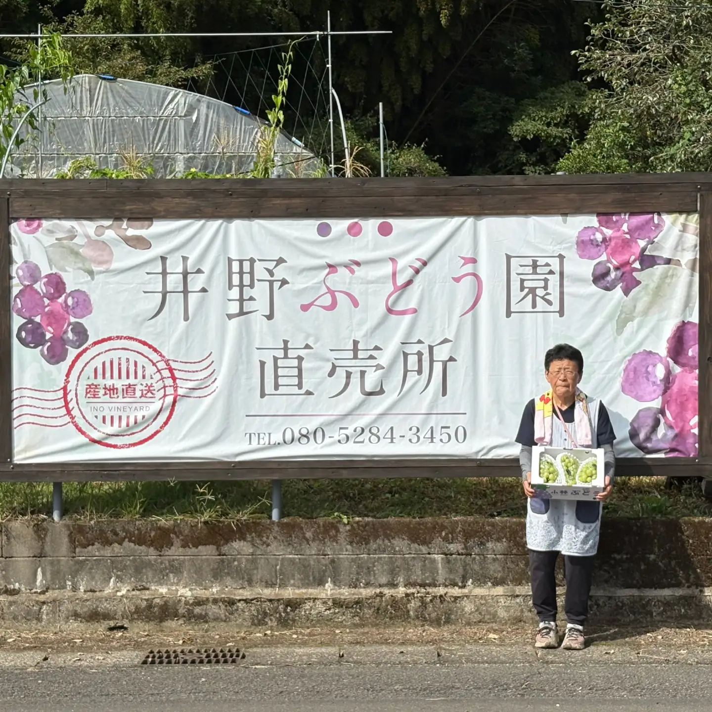 ぶどう 小林市産シャインマスカット　約2㎏
