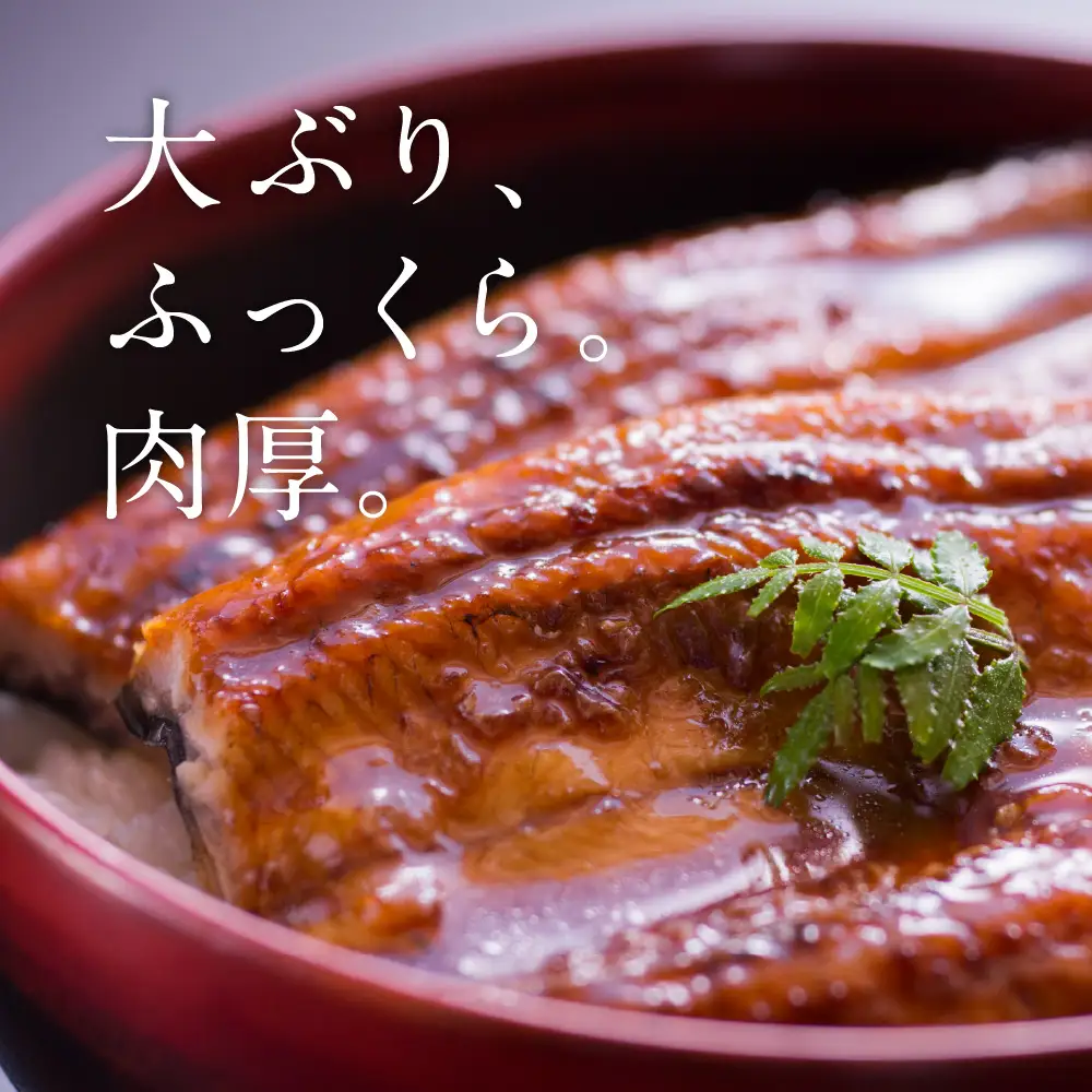 鰻 うなぎ蒲焼4尾セット（190g×4尾）合計760g たれ・山椒付き 鰻
