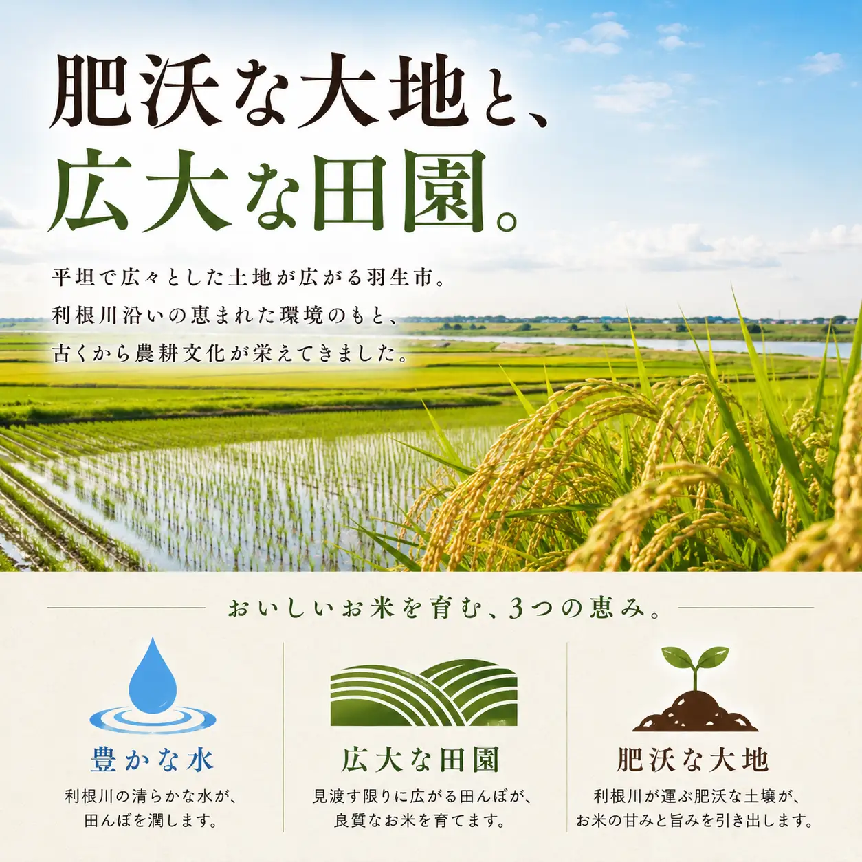 【令和8年度産】新米 にじのきらめき 精米 10kg