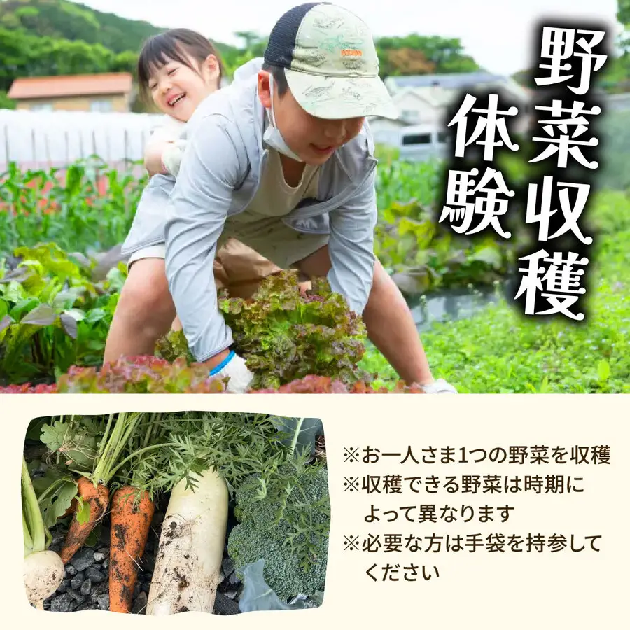 【年末年始特別プラン】餅つき＆野菜収穫体験（1組5名）