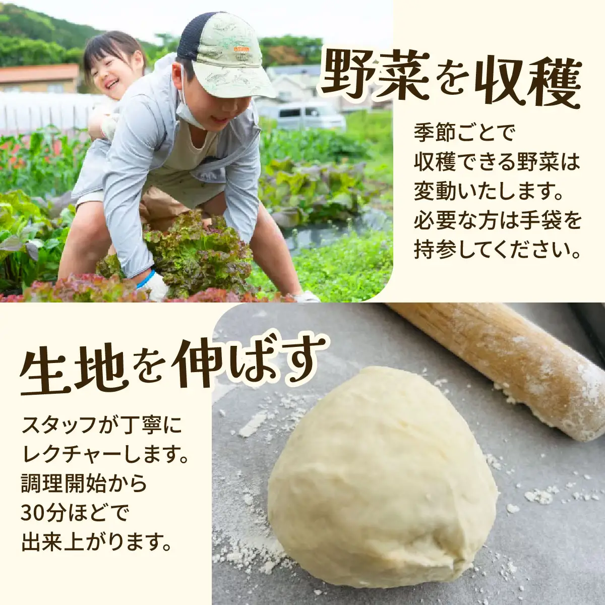 【収穫野菜でピザ作り】ダッチオーブンでキャンプ体験（1組5名）