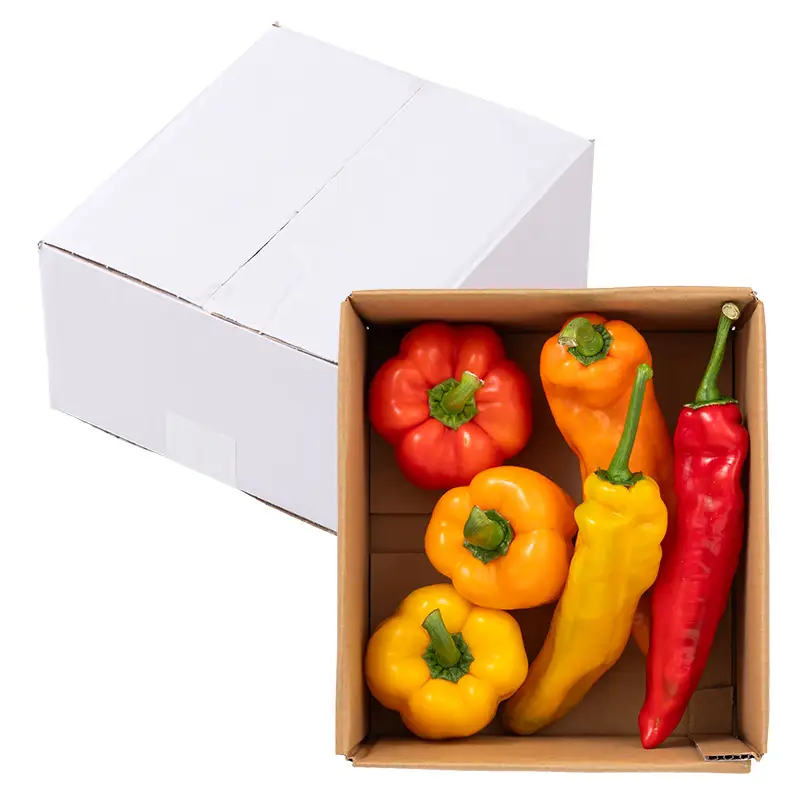 山形県 戸沢村産 彩り豊かな パプリカ&パレルモ 詰め合わせ 約1kg(5～8個) 国産 野菜 やさい パプリカ パレルモ イタリアンパプリカ スイートペッパー サラダ 炒め物 詰合せ セット 贈り物 ギフト プレゼント 自宅 家庭 農家直送 産地直送 F7W-0644