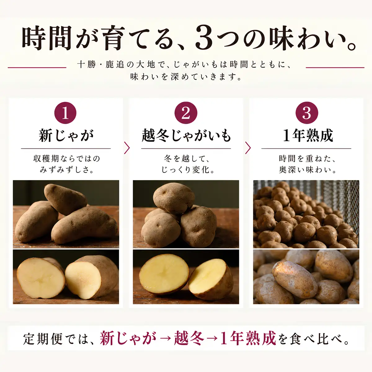 【全3回／男爵いも】じゃがいもは、寝かせるほどおもしろい。新じゃが・越冬・1年熟成定期便 SKAH012