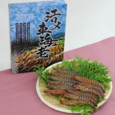 活き〆冷凍車海老300g(10尾～16尾)【配送不可地域：離島】【1784581】