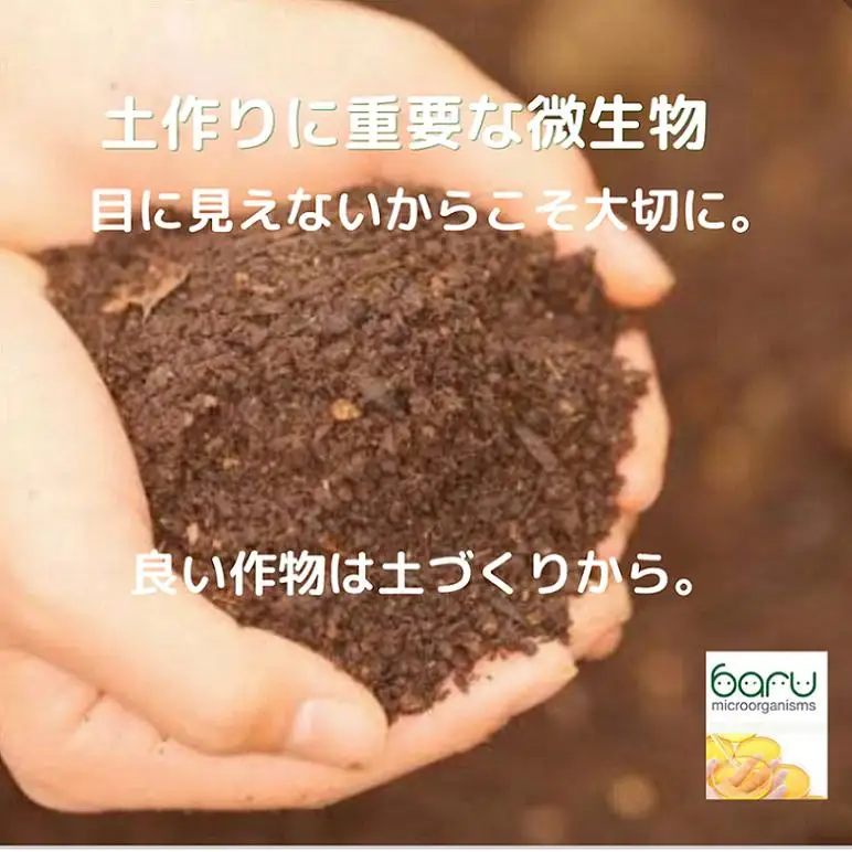 旬のフルーツ詰め合わせ シャインマスカット 梨 りんご 和梨 秋田県産 果物セット 旬の味覚 秋ギフト 贈答 ギフト 産地直送 皮ごと食べられる 種なし フルーツ ギフトセット 化粧箱入り 【【BARUバイオジャパン吉村(株)】[B7-99010]