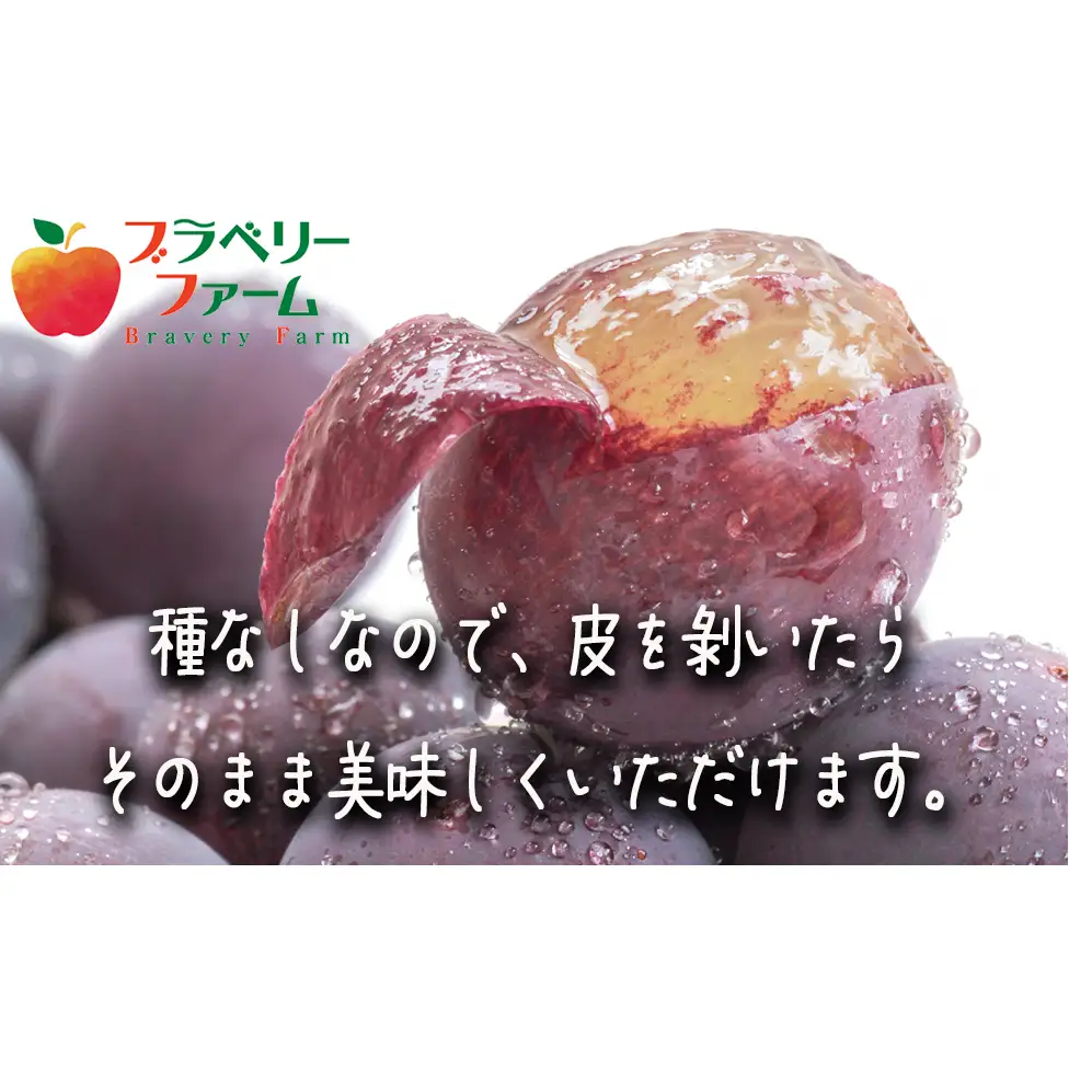 ぶどう 種なし巨峰 約2kg ( 3 ～ 5 房 ) 有限会社ブラベリーファーム 配送先は本州限定 2026年9月下旬頃から2026年11月上旬頃まで順次発送予定 令和8年度収穫分 長野県 飯綱町 [2043]