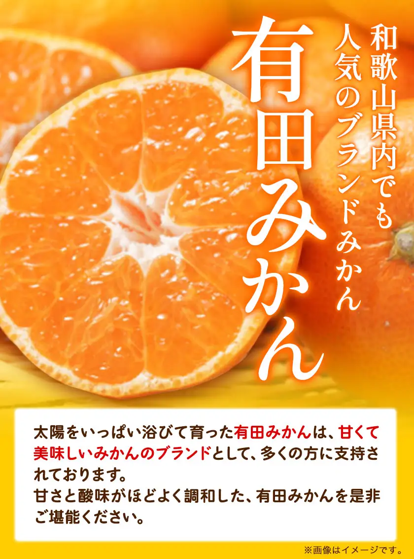 秀品 紀州有田みかん 約3kg (S-Lサイズ混合) 厳選館