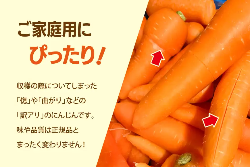 にんじん 訳あり 3kg 北陸富山の越冬人参！【期間限定発送】