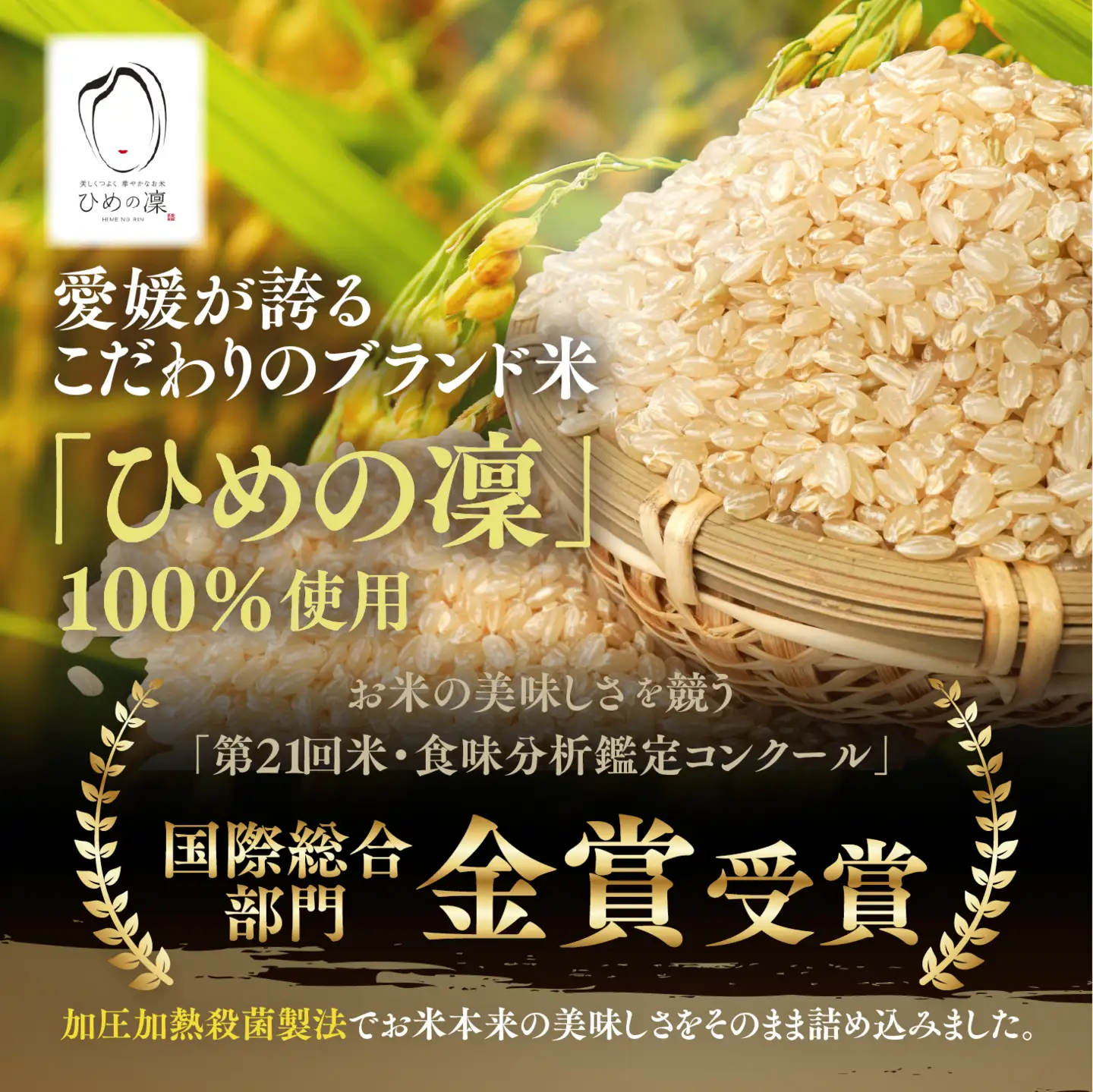 【3ヵ月定期便】玄米パックごはん 「ひめの凜」 160g 12個入り×3回（計36P） ｜ 愛媛県産 国産米100％ 玄米 パック パックご飯 常温保存 保存食 備蓄 新生活 レンジ 時短 防災 温めるだけ 愛媛県 鬼北町
