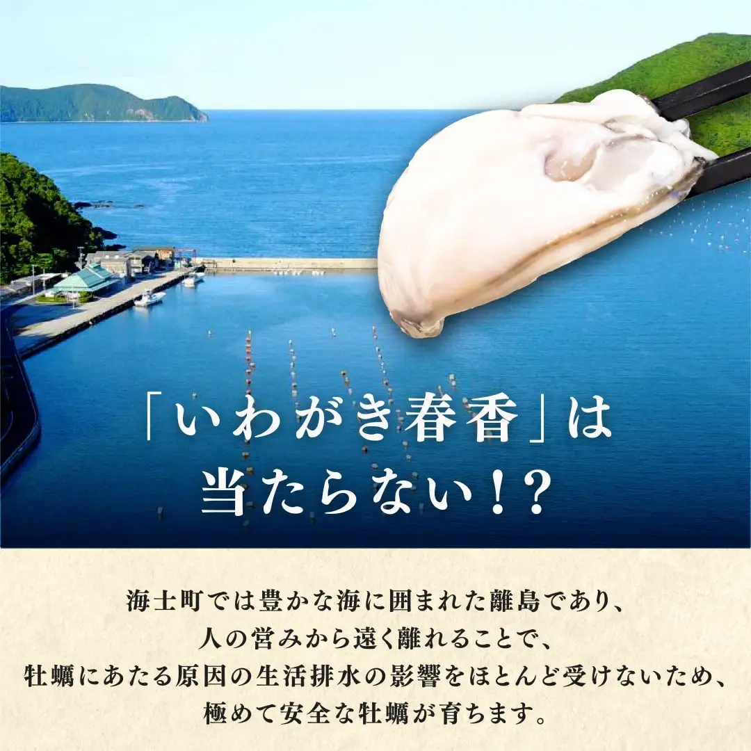 海士町産 牡蠣 冷凍 殻剥き不要 1.2kg(10-12個)