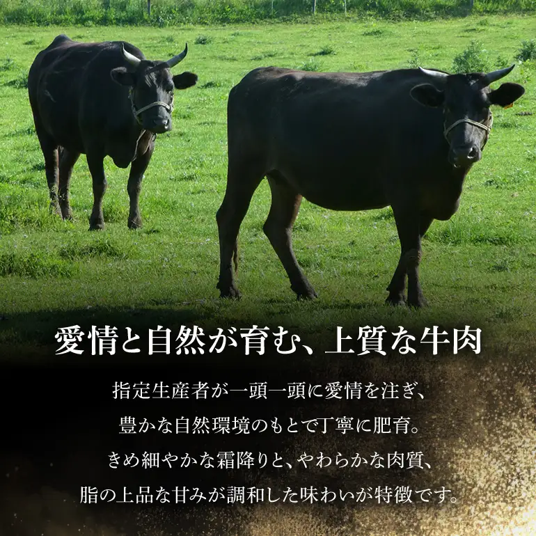 【和牛セレブ】常陸牛 リブローススライス 200g×4P KM-023