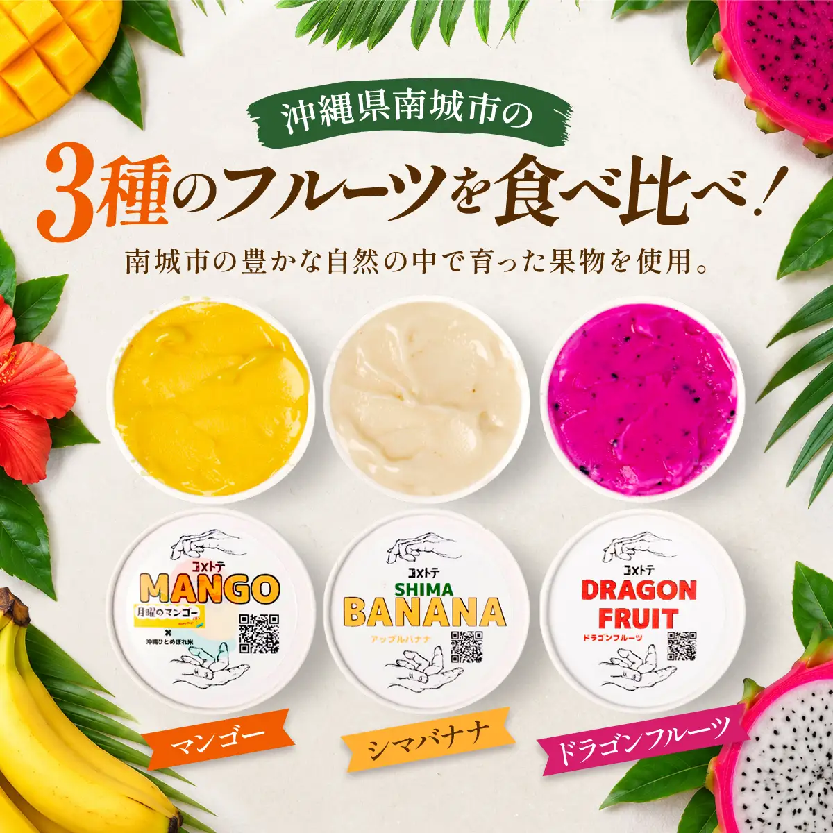 MANGO RICE GELATO 沖縄 南国フルーツ 3種セット