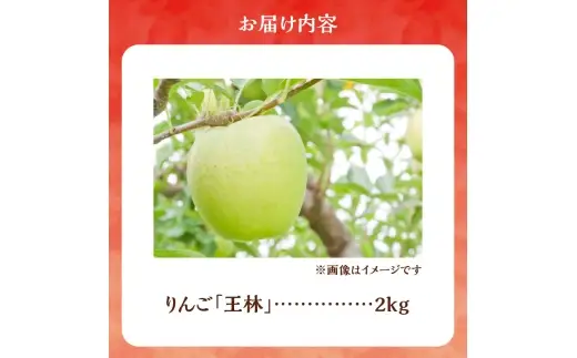 【先行予約：2026年10月下旬より発送】りんご（王林）2kg【北海道余市町産】_Y103-0079