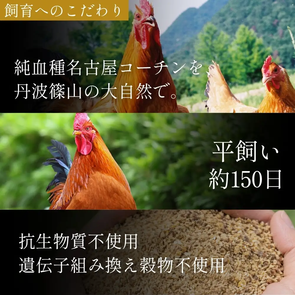 鶏たたき 名古屋コーチン 丹波ささやま地鶏  （もも肉1枚）鶏たたき