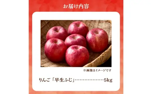 【先行予約：2026年10月中旬より発送】りんご（早生ふじ）5kg【北海道余市町産】_Y103-0093