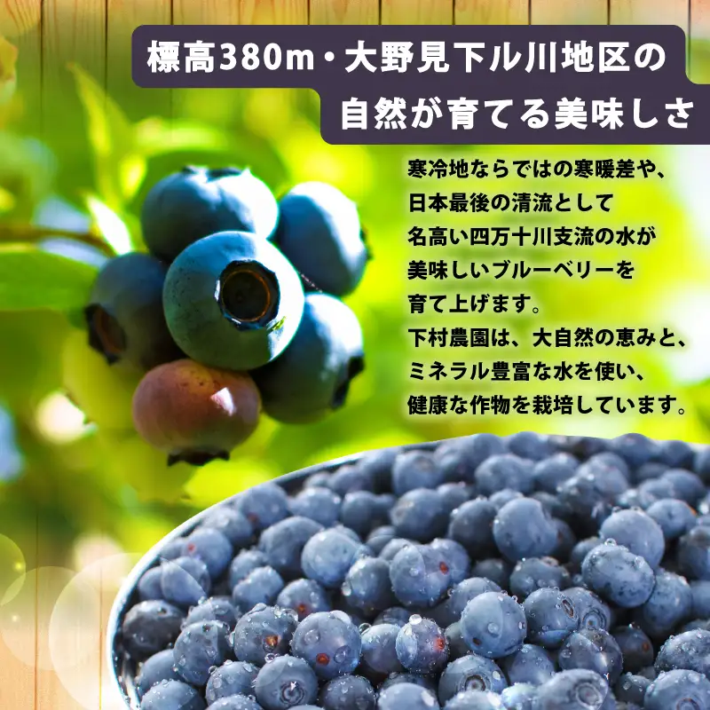 冷凍 ブルーベリー 1kg フルーツ 果物 ベリー