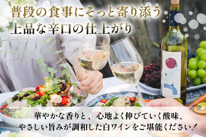 ワイン 白 why'n デラウェア 2025 750mL 1本