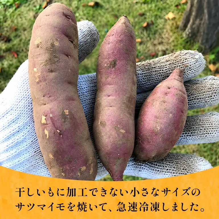 茨城県産小芋の（冷凍）焼き芋「べにはるか」1kg（200g×5袋） A26-011