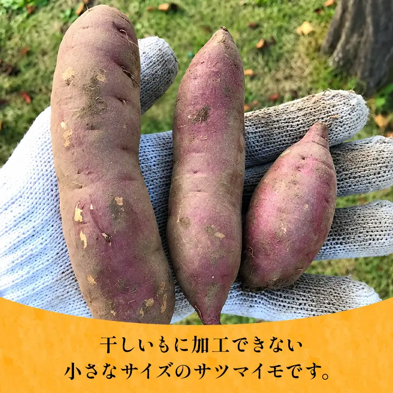 茨城県産小芋の焼き芋用生芋「べにはるか」5kg A26-012