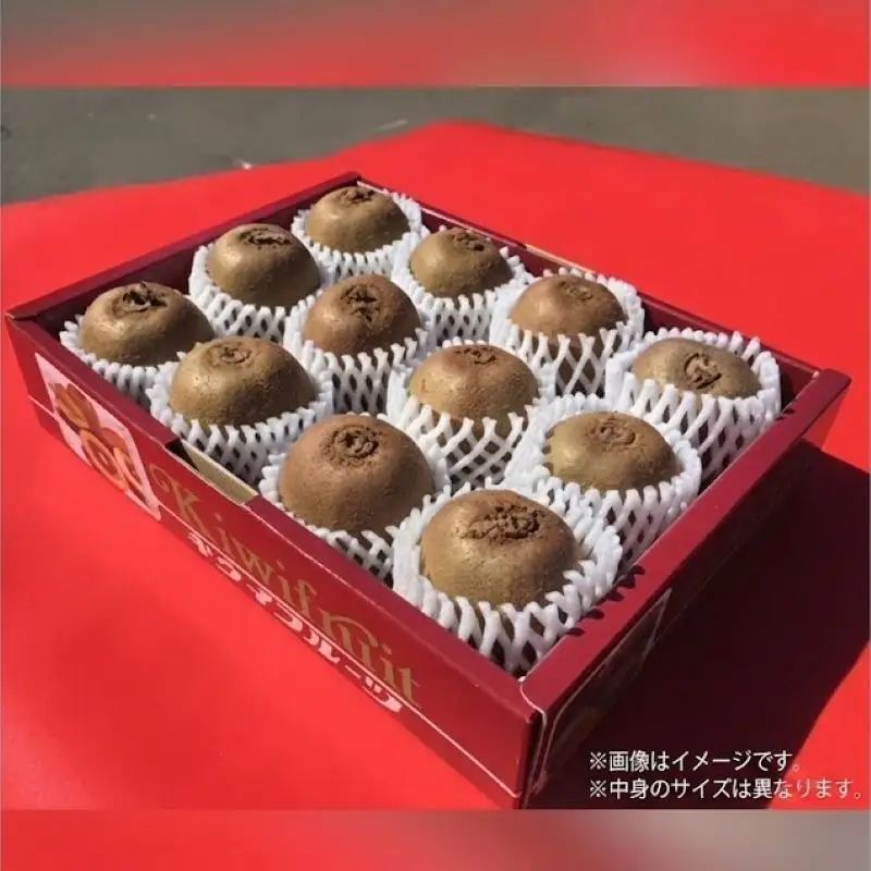 レッドキウイ サイズ不揃い 約1kg 11個～17個 レッドキウイ