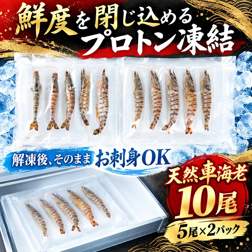 【美浜町・南知多町共通返礼品】南知多産 天然車海老 10尾 解凍後刺身OK ※プロトン凍結　塩焼き+エビフライにおすすめ やっぱり天然物は甘み・旨味が格段に違う！