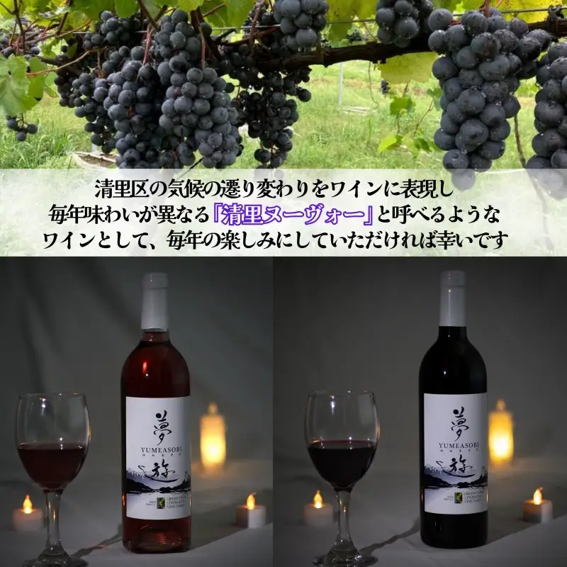 新潟県産 ワイン 清里夢遊（きよさとゆめあそび）【赤】 750ml 希少 限定 上越市産マスカット・ベーリーＡ100％使用 お酒 国産 上越市 グリーンファーム清里 