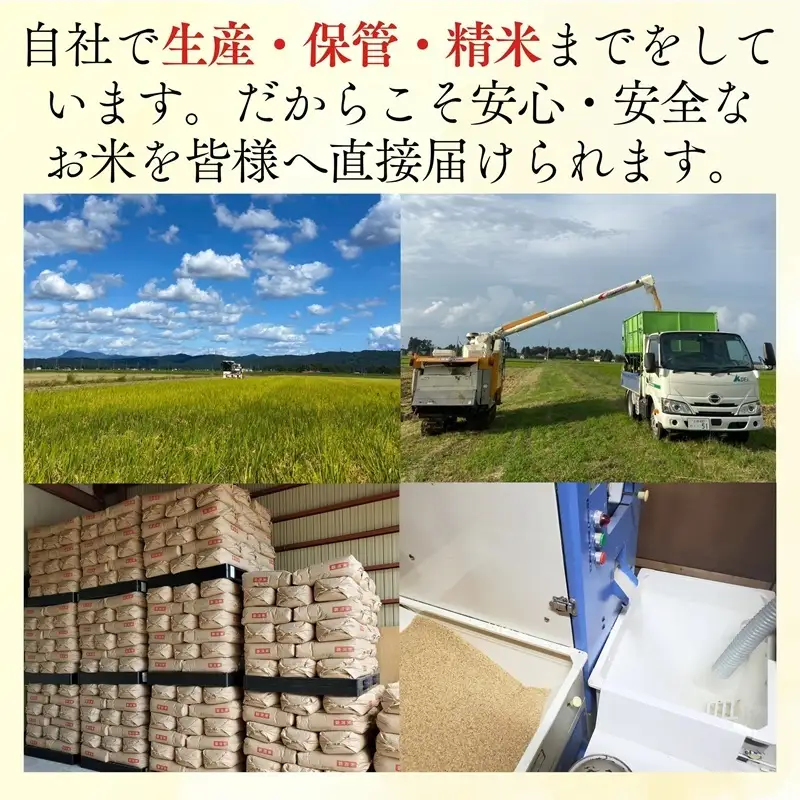 令和8年産 先行予約 新潟県 上越市産米 こしいぶき 定期便 5kg×3回 計15kg 3か月 新米 精米 米ヴィレッジさんわ 上越市三和区