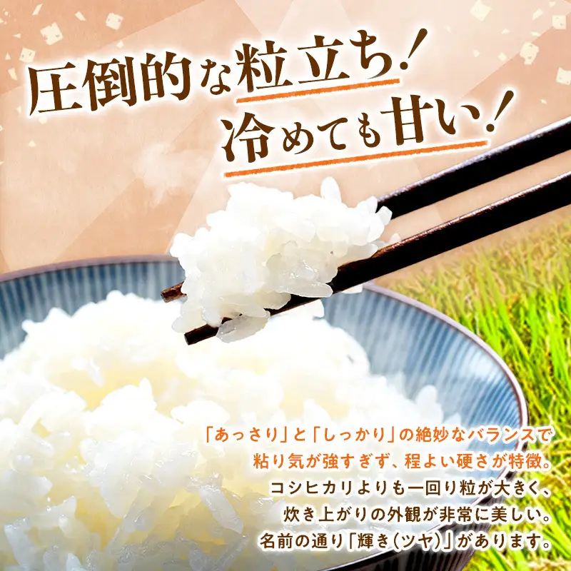 令和8年産 先行予約 新潟県 上越市産米 みずほの輝き 定期便 5kg×3回 計15kg 3か月 新米 精米 米ヴィレッジさんわ 上越市三和区