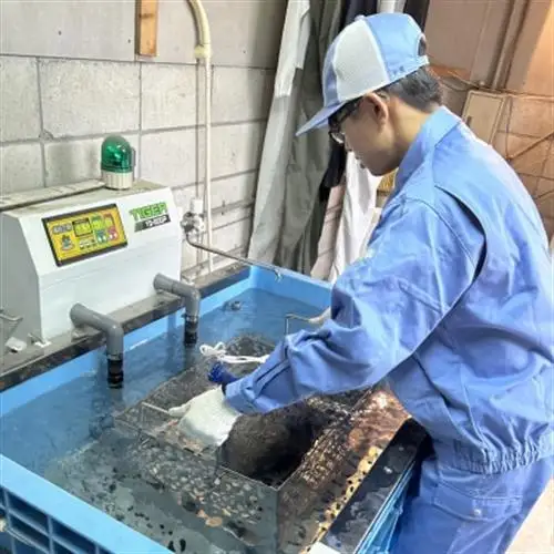 限定50セット　地元の農業高校が育てたお米5kg・選りすぐりの地元農家が育てたお米5kgコラボセット【1779351】