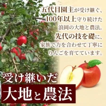 【爽やかな甘み】りんご 「シナノゴールド」家庭用 約5kg (約14～20個) 青森市 産地直送【配送不可地域：離島】【1785158】