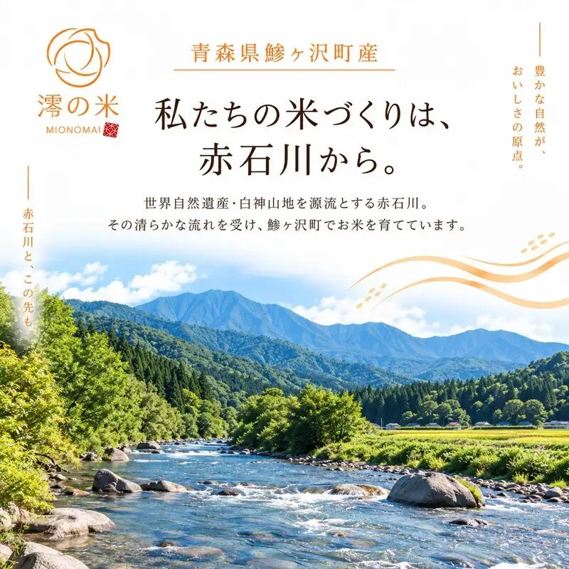 《 6ヶ月定期便 》 令和8年産 まっしぐら 無洗米 5kg （5㎏×1） 青森県産 イワモトファーム まっしぐら