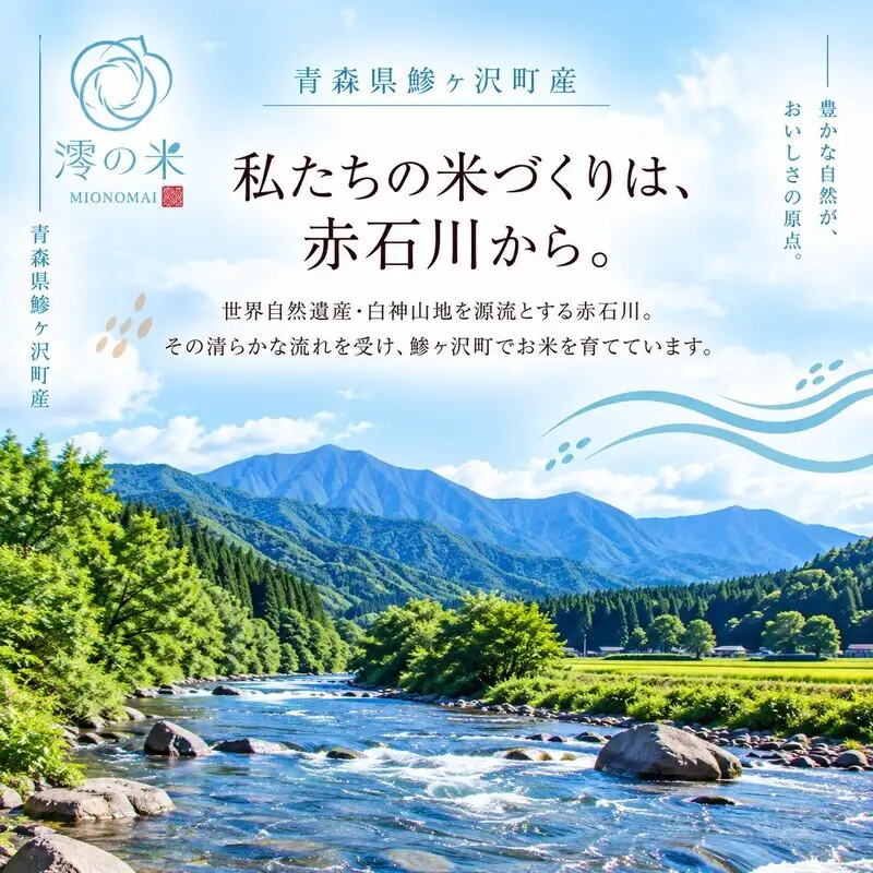 《 3ヶ月定期便 》令和8年産 はれわたり 玄米 30kg （30㎏×1） 青森県産 イワモトファーム はれわたり