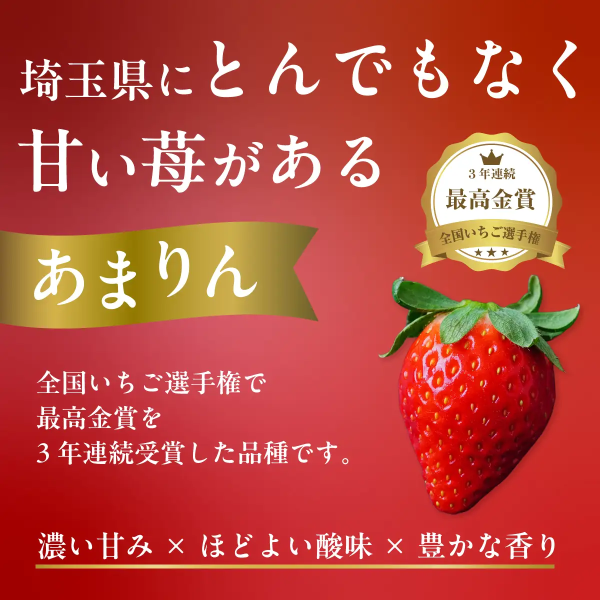 【先行予約】いちご あまりん 約500g 折原果樹園 あまりん