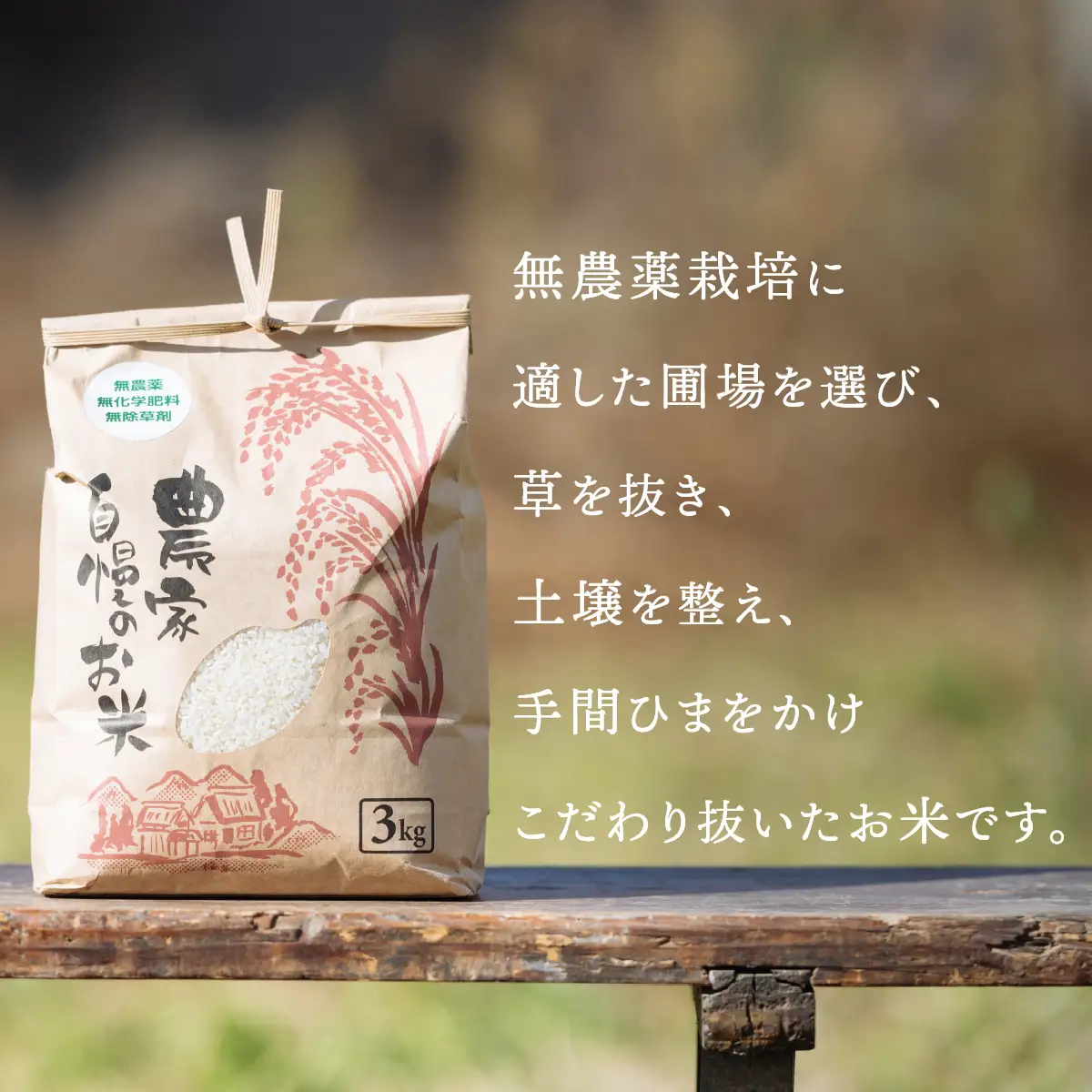 【10月発送】茨城県下妻市産 なごみ米 （ コシヒカリ ） 玄米 10kg 【 お米 コシヒカリ 米 無農薬 無化学肥料 無除草剤 玄米 ブランド米 茨城県産 】