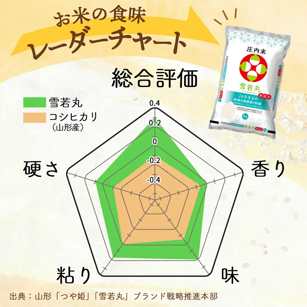 【定期便】＜令和8年産/9年産＞雪若丸 無洗米 10kg×1年間 毎月お届け 山形県庄内町産 余目産 庄内米 ブランド米 米 お米の定期便 粒立ち しっかり食感 食べ応え抜群 粘り 控えめ 硬め ごはん【11月中旬発送】