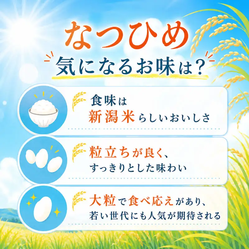 最短3日発送 新米 なつひめ 4kg 新米 新品種 令和8年産 米 白米 こめ 大粒 ごはん おにぎり お弁当 農家直送 産地直送 ふるさと納税 川瀬農園 新潟 新潟県 新発田市 kwsNH001_F