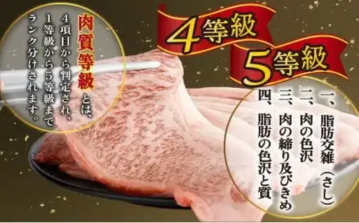《2026年11月発送》宮崎牛ロースステーキ 200g×4枚 合計800g_K033-012-11