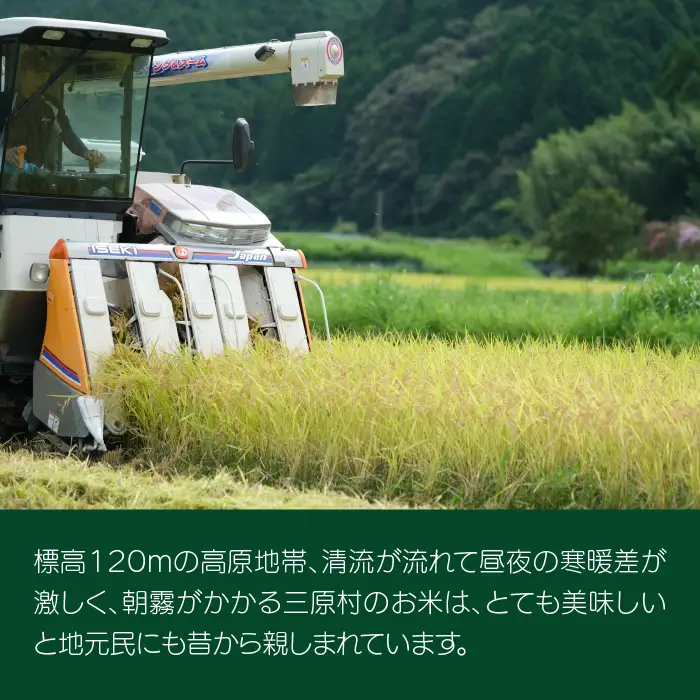 ししとう家族の宅配便！！