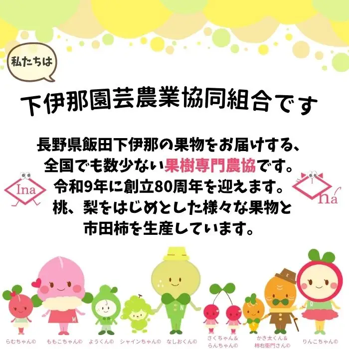 南信州産「桃」あかつき/なつっこ 約2kg 5～9玉 品種おまかせ＜2027年7月下旬より発送＞