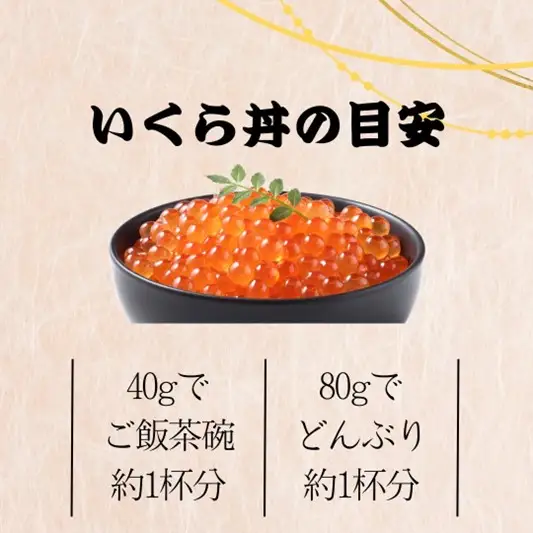 いくらの醤油漬け 小分けパック 960g【ふるさと納税3.0】【087A-017】