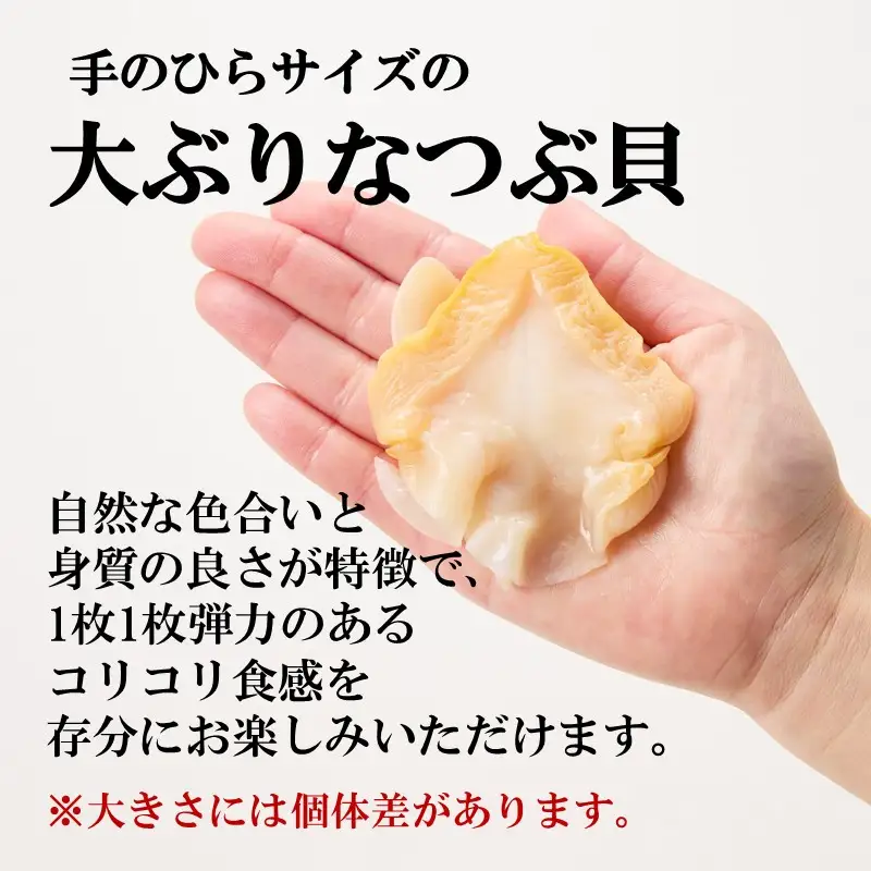 生食可 大型つぶ貝開き 約500g【ふるさと納税3.0】【087D-215】