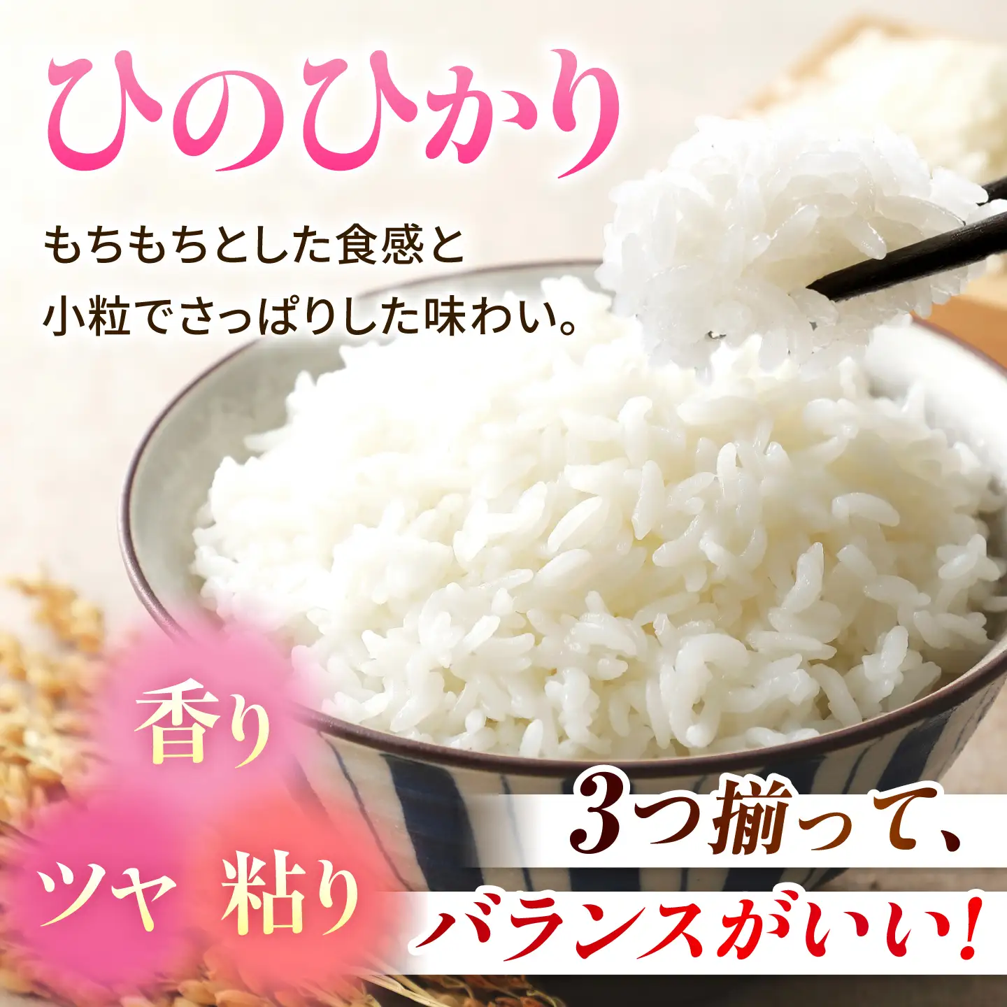 【新米先行予約】〈令和8年度産米〉 山鹿のお米 ヒノヒカリ 5kg×4【有限会社 あそしな米穀】[ZBI040]