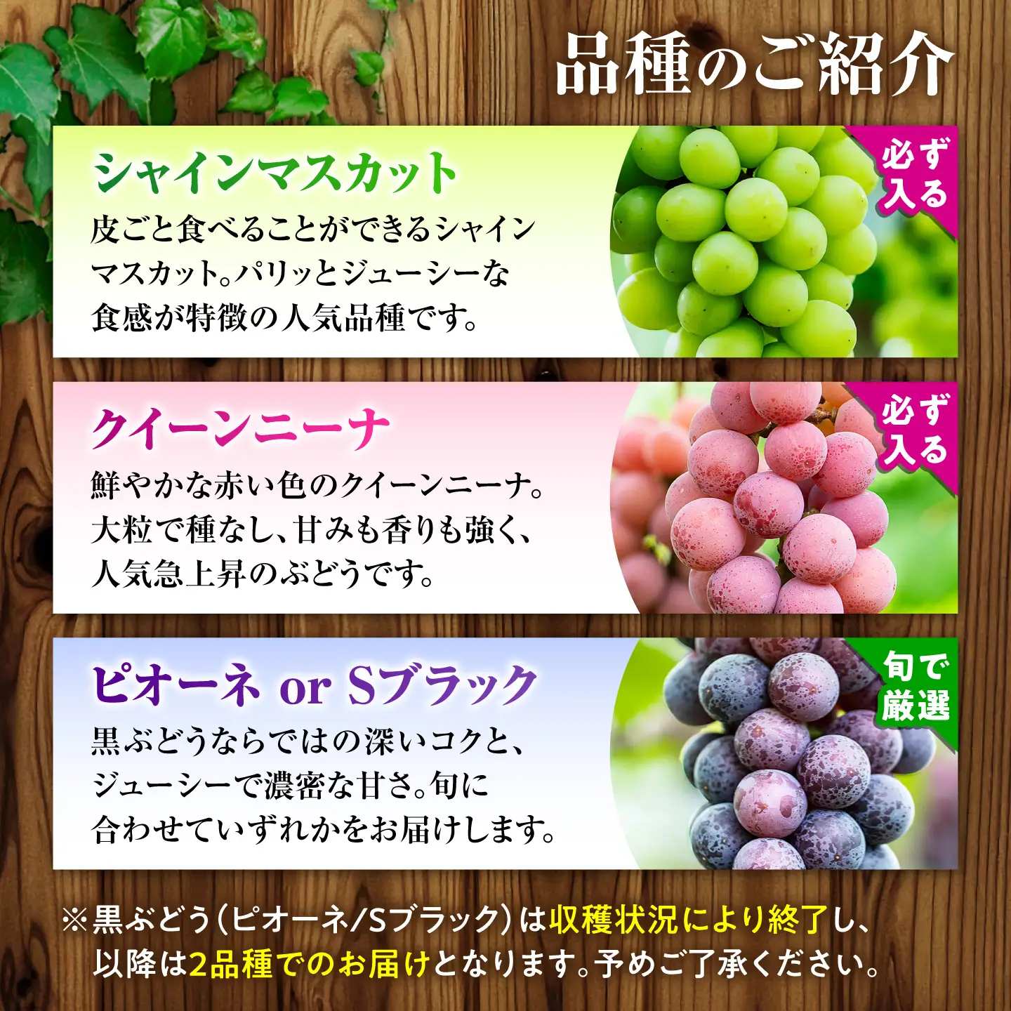 【先行予約】　訳あり ぶどう 切り落とし セット 旬の詰め合わせパック 計約2kg 2000g 葡萄 ブドウ フルーツ 熊本県 山鹿市【合同会社 社方園】[ZBZ058]