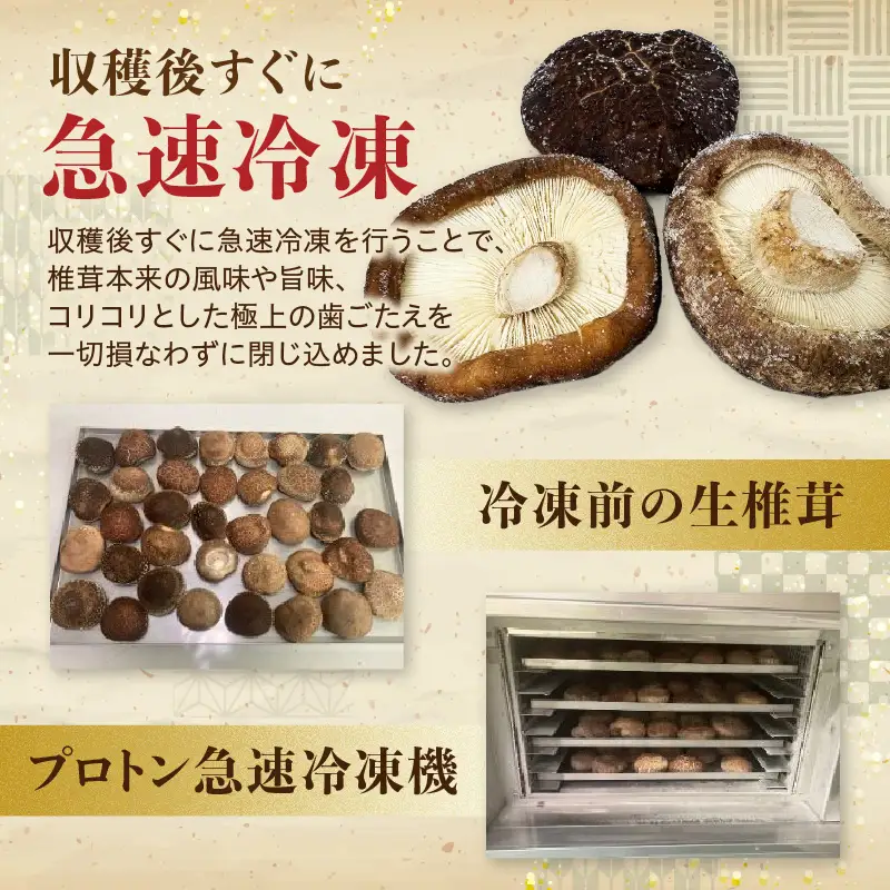 冷凍 原木しいたけ（冬菇）1kg F07040