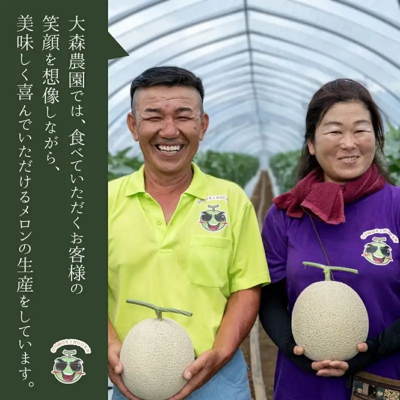 メロン食べ比べ 鉾田市 青肉メロン 赤肉 イバラキング クインシー 【 2玉 】