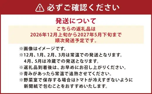 麗妃トマト（栽培自慢） 約4kg 【2026年12月上旬発送開始】 野菜 やさい とまと トマト 熊本県産 国産
