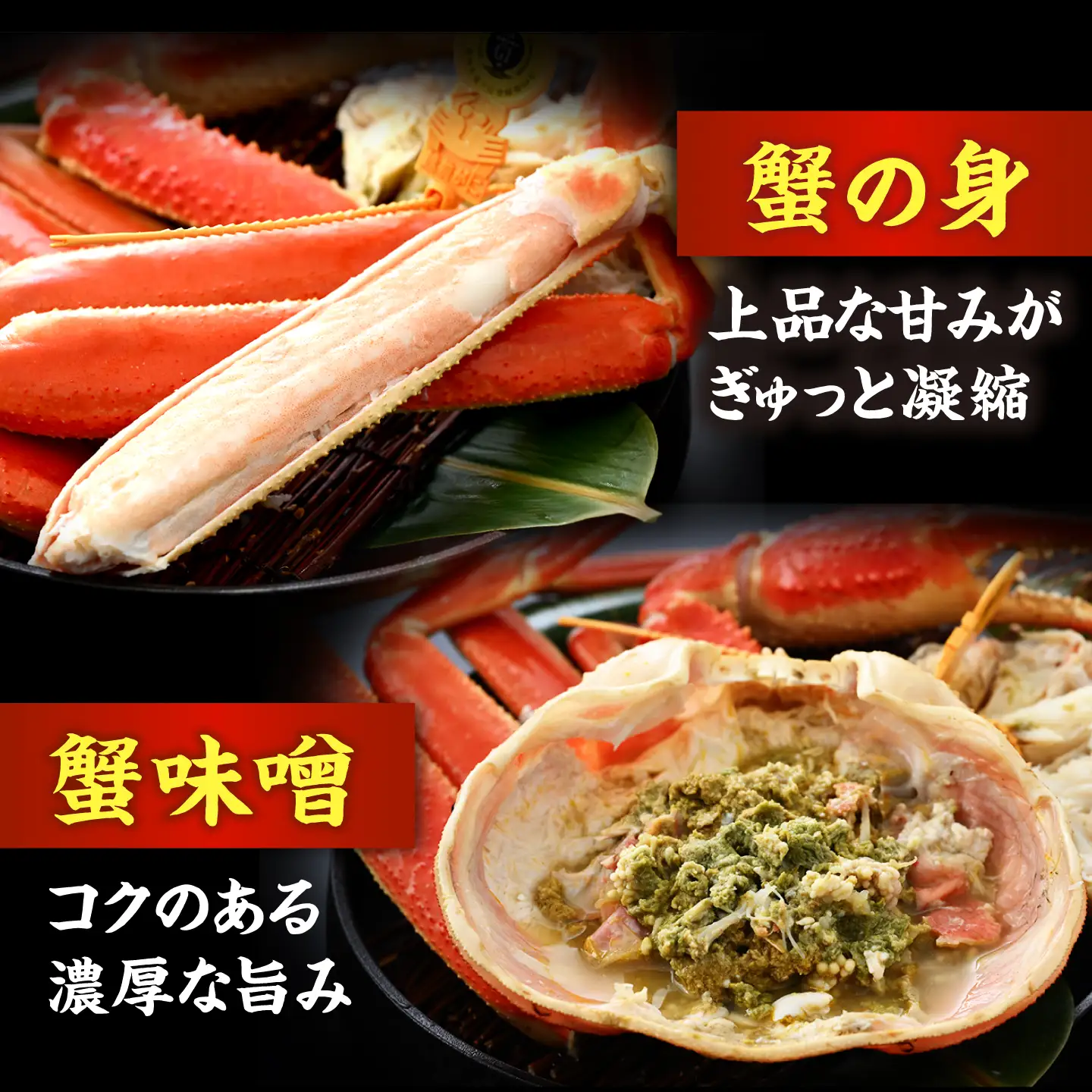【先行予約/11月7日より順次発送予定】【冷蔵】「若狭小浜港産地直送」 越前がに (ズワイガニ) ボイル 大 1杯[BFBC020]【配送不可地域：北海道・沖縄・離島】