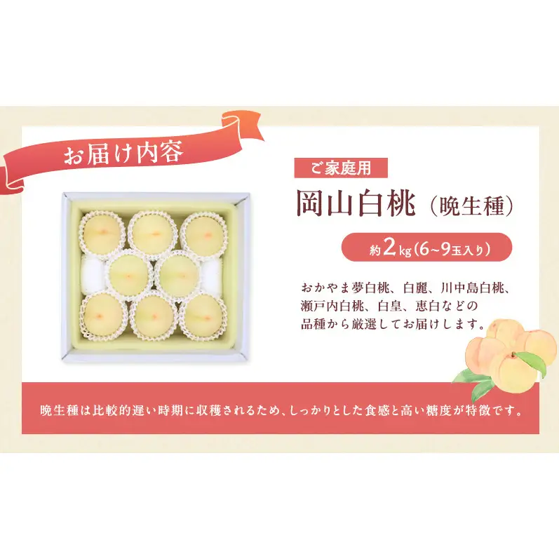 桃 2027年 先行予約 岡山 白桃（晩生種）ご家庭用 約2kg 6～9玉入り もも モモ 岡山県産 国産 フルーツ 果物 直送！せとうちバスケット こだわり 特産品 白い 香り 果汁 シーズン 高糖度